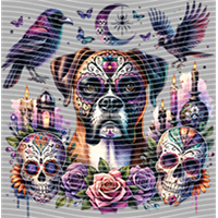 Animal Text Series-AT 249